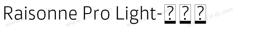 Raisonne Pro Light字体转换